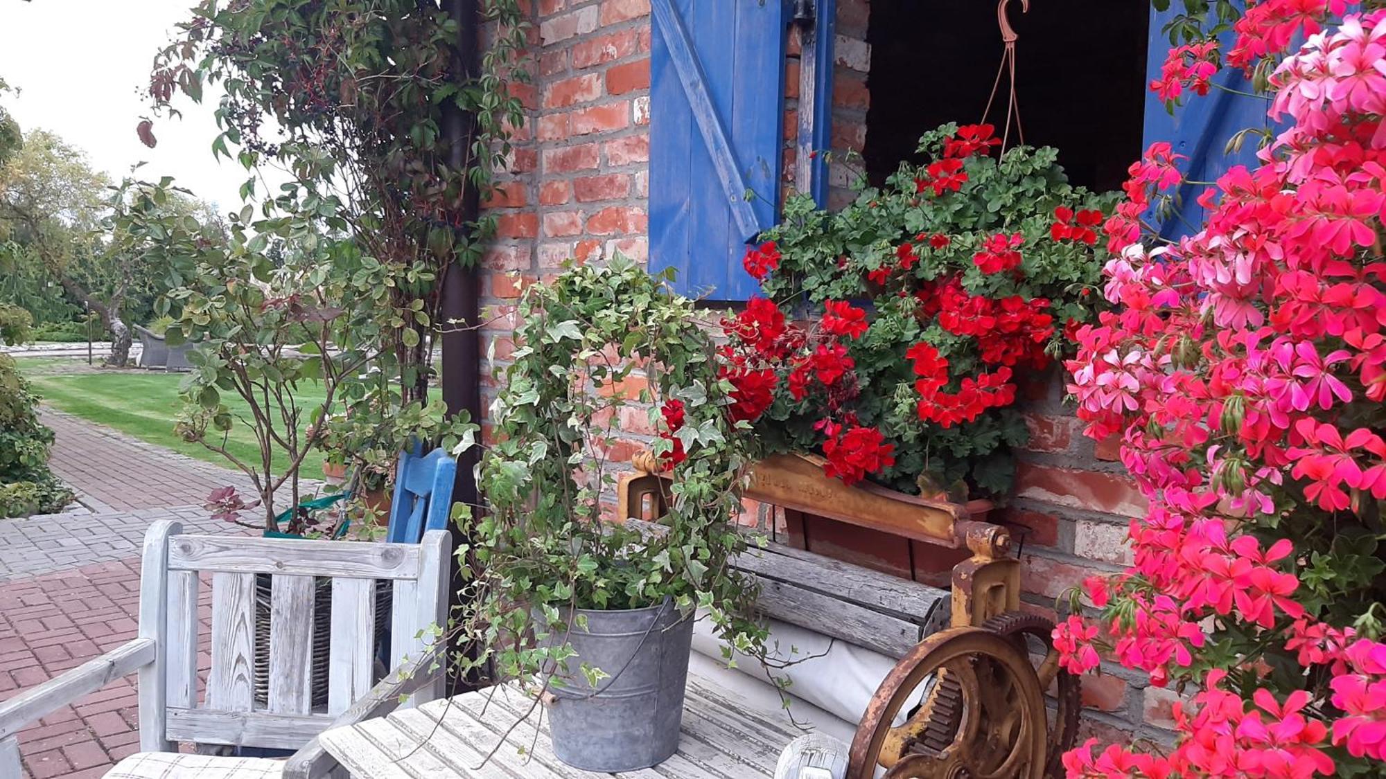 Siedlisko Nad Miedwiem Stargard Szczeciński Buitenkant foto