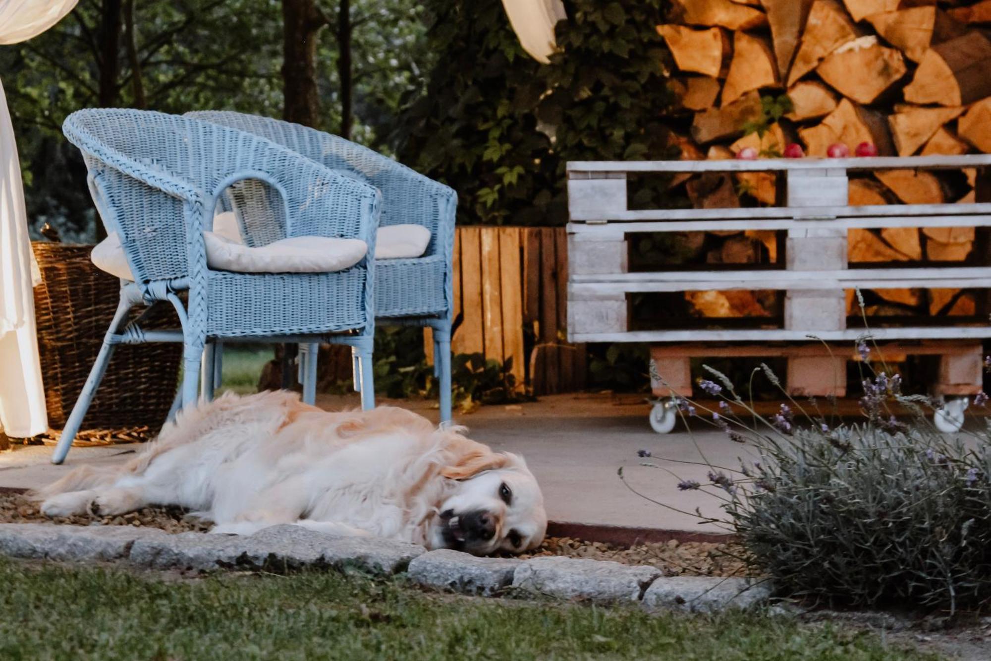 Siedlisko Nad Miedwiem Stargard Szczeciński Buitenkant foto